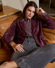 SURKANA - blazer velluto - MIRTILLO