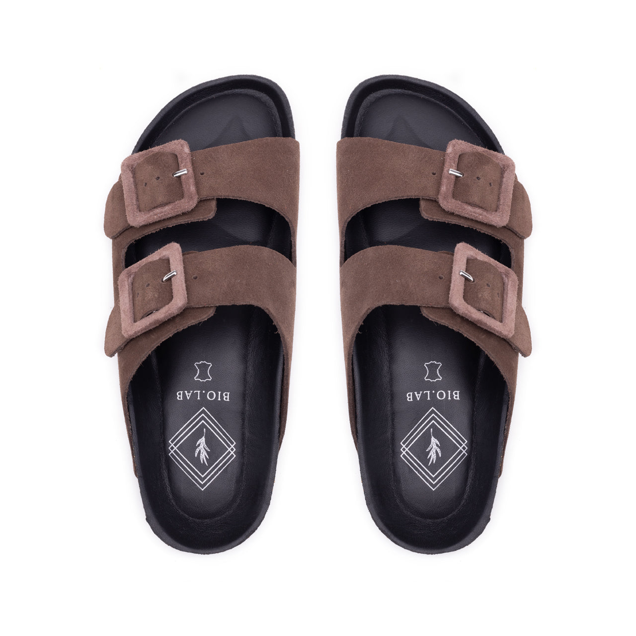 BIO.LAB - bottom grace crosta - CASTAGNA