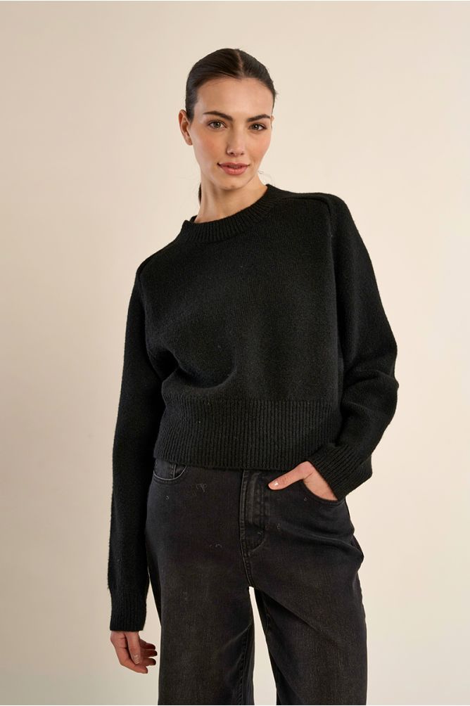 MOLLY BRACKEN - ribbed crop sweater - BLACK